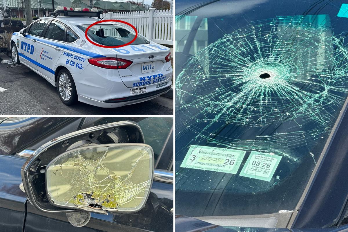 Lexus-style vandal, who allegedly destroyed and punctured the tires of 11 smashed NYPD vehicles, was immediately released in court