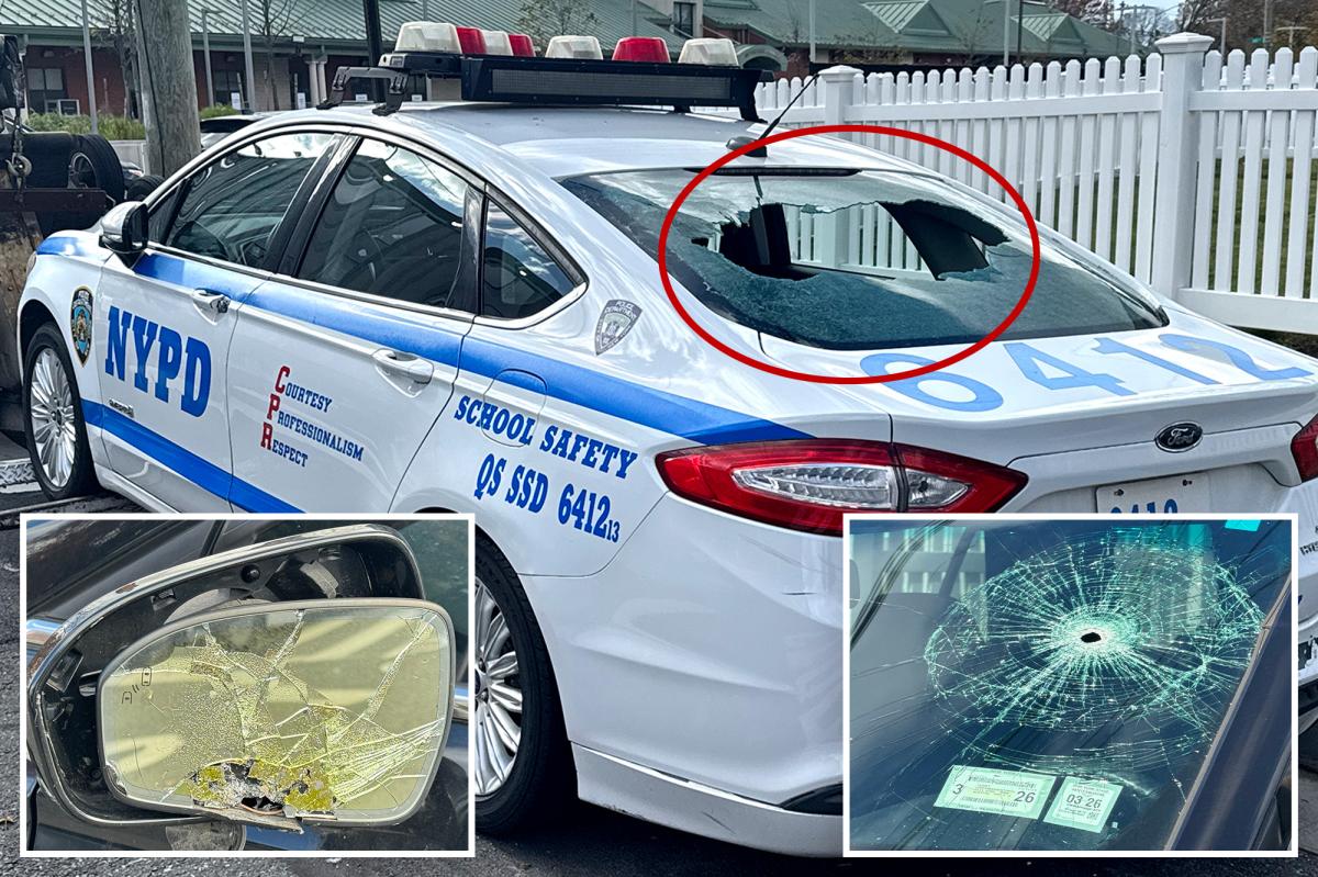 Lexus Vandal Destroys 11 NYPD Police Cars Parked in Front of New Police Station: Police
