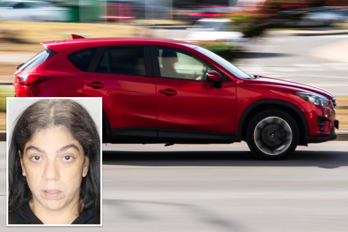 Drunk Long Island Bar Jumper Accidentally Steals Car Identical to Her Own Car: The Cops