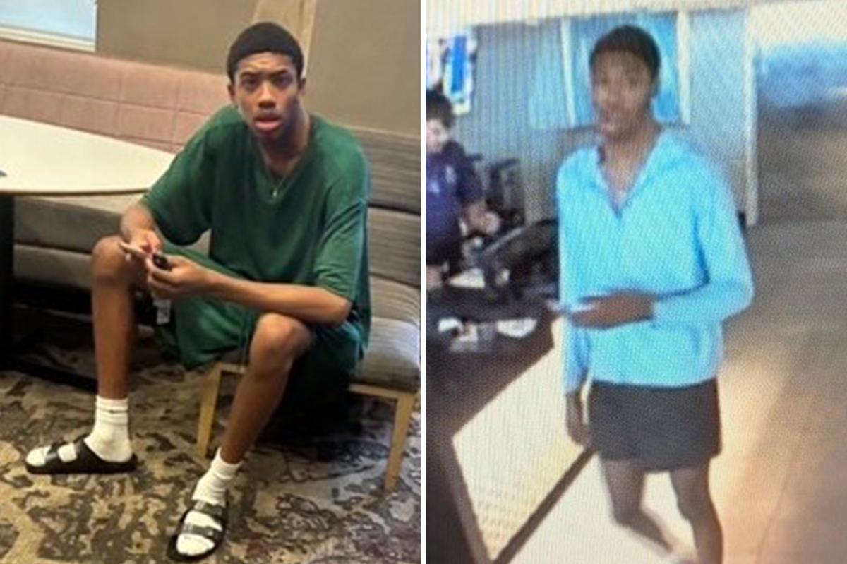 Georgia police are hunting down a man who allegedly mistook himself for a professional basketball player and stole a $90,000 BMW X5 from the valet at the Savannah hotel